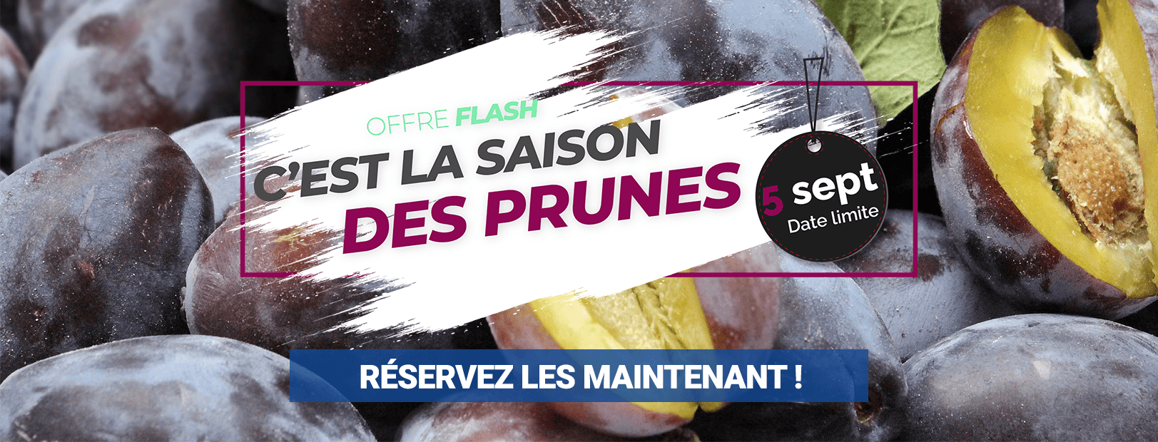1623x620_Prunes-2021