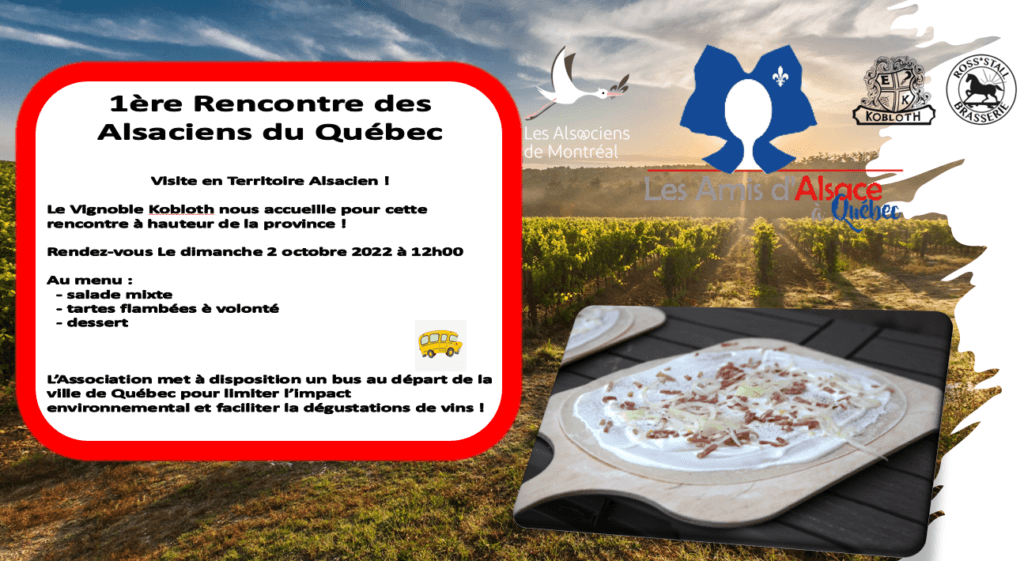 Vignoble2022